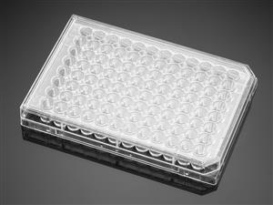 354505 | Corning® BioCoat® Collagen I 48-well Clear Flat Bottom TC-treated Multiwell Plate, with Lid, 5/Case
