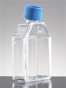 354536 | Corning® BioCoat® Poly-D-Lysine 25cm² Rectangular Canted Neck Cell Culture Flask with Vented Cap