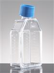 354536 | Corning® BioCoat® Poly-D-Lysine 25cm² Rectangular Canted Neck Cell Culture Flask with Vented Cap