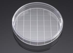 354550 | Corning® BioCoat® Poly-D-Lysine 150 mm TC-treated Gridded Culture Dishes, 5/Pack, 5/Case
