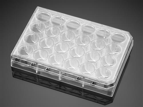354619 | Poly-D-Lysine/Laminin 24-well Clear Flat Bottom TC-Treated Multiwell Plate, with Lid, 5/Case