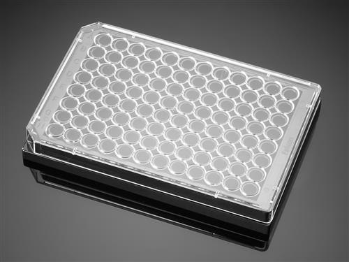 354649 | Corning® BioCoat® Collagen I 96-well Black/Clear Flat Bottom TC-treated Microplate, with Lid, 5/Case