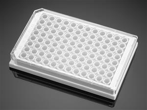 354651 | Corning® BioCoat® PDL 96w White/Clear Flat Bottom TC-treated Microplate,,Lid, 5/CS