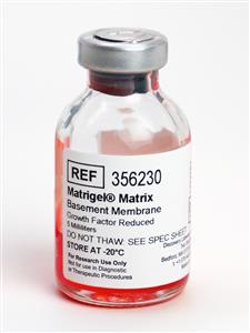 356230 | Corning® Matrigel® Growth Factor Reduced (GFR) Basement Membrane Matrix, LDEV-free, 5 mL
