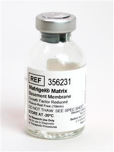 356231 | Corning® Matrigel® GFR (GFR) Basement Membrane Matrix, Phenol Red-free, LDEV-free, 10 mL