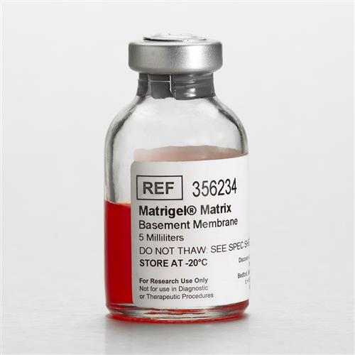 356234 | Corning® Matrigel® Basement Membrane Matrix, LDEV-free, 5 mL