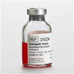 356234 | Corning® Matrigel® Basement Membrane Matrix, LDEV-free, 5 mL