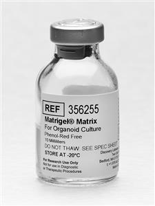 356255 | Corning® Matrigel® Matrix for Organoid Culture, Phenol Red-free, LDEV-free, 10 mL
