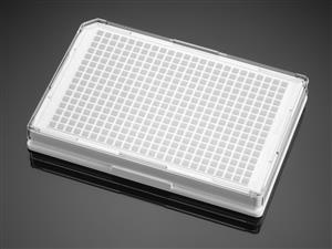 356660 | Corning® BioCoat® PDL 384w White/Clear Flat Bottom TC-treated Microplate,,Lid, 5/Pack, 50/CS