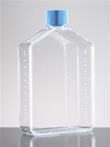 356728 | Corning® PureCoat™ Amine 175cm² Rectangular Straight Neck Cell Culture Flask with Vented Cap