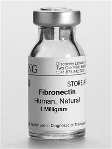 354008 | Corning® Fibronectin, Human, 1 mg