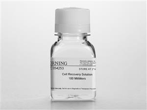 354253 | Corning® Cell Recovery Solution, 100 mL