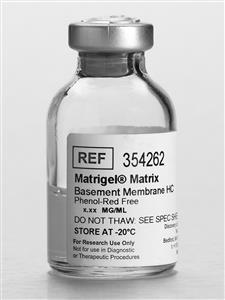 354262 | Corning® Matrigel® Matrix High Concentration (HC), Phenol-Red Free, LDEV-free, 10 mL