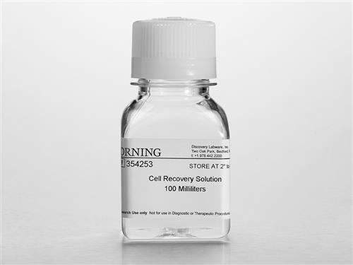354270 | Corning® Cell Recovery Solution, 500 mL