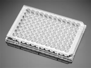 354407 | Corning® BioCoat® Collagen I 96-well Clear Flat Bottom TC-treated Microplate, with Lid, 5/Case