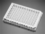354407 | Corning® BioCoat® Collagen I 96-well Clear Flat Bottom TC-treated Microplate, with Lid, 5/Case