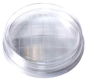 1000 | Kord™  65 x 15 Contact Dish, Convex Bottom, Stackable