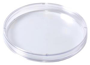 2904 | Kord™ 100 x 10 Mono Petri Dish, Slippable