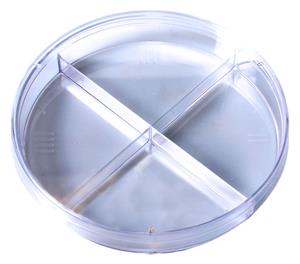 2913 | Kord™ 100 x 15 Quad-Plate Petri Dish, Stackable