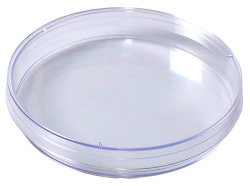 2914 | Kord™ 95 x 15 Mono Petri Dish, Slippable