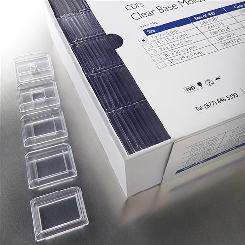 DBM1515 | Disposable Base Molds BX 400 15x15mm