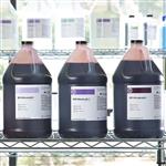 CM5951 | Hematoxylin Gill 2 Gal.