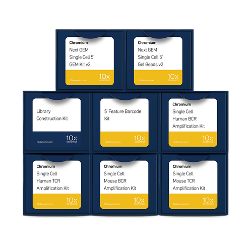 Chromium Automated Single 