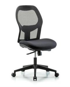 GSS41295 | Executive Windrowe Mesh Back Chair with Casters