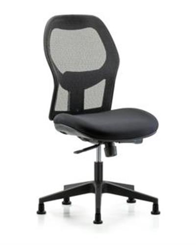 GSS41296 | Executive Windrowe Mesh Back Chair with Stationary