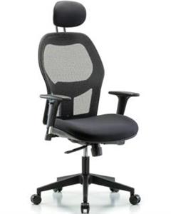 GSS41303 | Executive Windrowe Mesh Back Chair with Head Rest