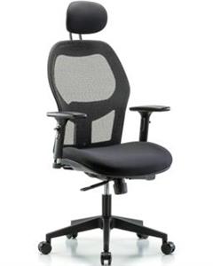 GSS41305 | Executive Windrowe Mesh Back Chair with Head Rest