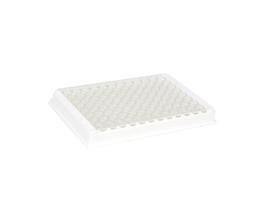C2020 | 96-well ELISA Plate (12 x 8-well strips)