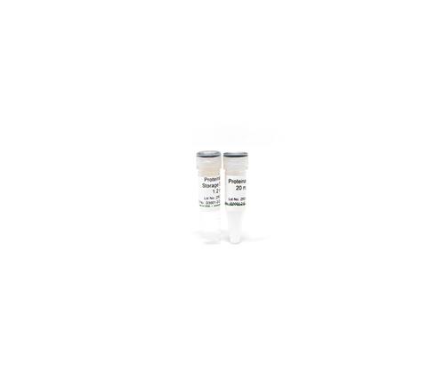 D3001-2-125 | Proteinase K w/ Storage Buffer Set (125 mg)