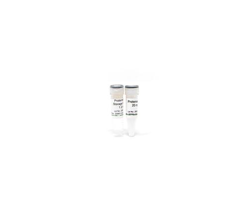 D3001-2-60 | Proteinase K w/ Storage Buffer Set (60 mg)