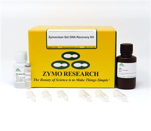 D4001T | Zymoclean™ Gel DNA Recovery Kit (10 Preps) w/ Zymo-Spin™ I Columns (Uncapped)