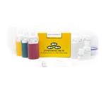 D4204 | ZymoPURE™ II Plasmid Gigaprep Kit