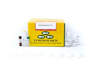 D5001 | EZ DNA Methylation™ Kit (50 Rxns)