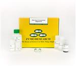 R1081 | RNA Clean & Concentrator MagBead (96 preps)
