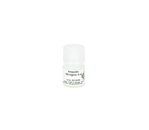 A1001-5 | Ready-to-use 100 mg/ml Ampicillin Sodium Solution