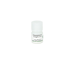 A1002-25 | Ready-to-use 10 mg/ml Chloramphenicol Solution