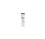 A2001-10 | Premade concentrated arabinose solution for induction of XJ Autolysis E. coli strains.