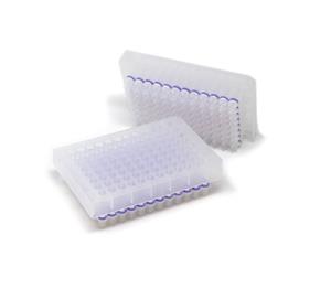 C2023 | High-throughput plasmid DNA purification spin-plate.