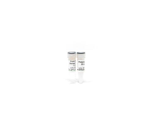 D3001-2-5 | Proteinase K w/ Storage Buffer Set (5 mg)