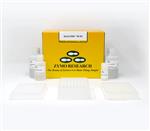D3011 | High-throughput Proteinase K-free extraction of ultra-pure total DNA from blood and cells. 