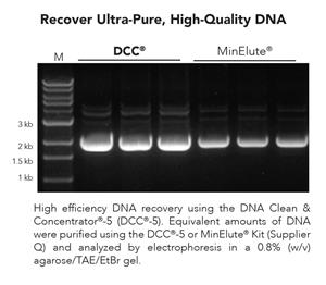 D4004 | Purify up to 5 µg of highly concentrated ultra-pure DNA from PCR, enzymatic reactions, and other sources in 2 minutes.