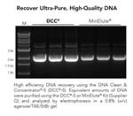 D4004 | Purify up to 5 µg of highly concentrated ultra-pure DNA from PCR, enzymatic reactions, and other sources in 2 minutes.