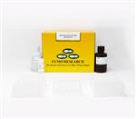 D4022 | High-throughput purification of highly concentrated ultra-pure DNA  from TAE/TBE buffered agarose gels.