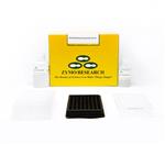 D4052 | High-throughput and rapid clean up of dye terminator sequencing reactions prior to Sanger Sequencing.