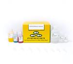D4054 | Easily purify ultra-pure plasmid DNA from up to 5 ml of overnight E. coli culture using a traditional alkaline lysis spin-column protocol.