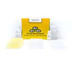 D4067 | High-throughput purification of up to 5 µg of ultra-pure high molecular weight DNA from any enzymatic reaction or impure preparation.